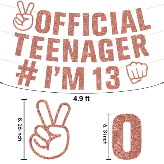 Official teenager pink banner 13th birthday